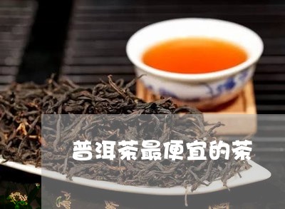 普洱茶最便宜的茶/2023031608581