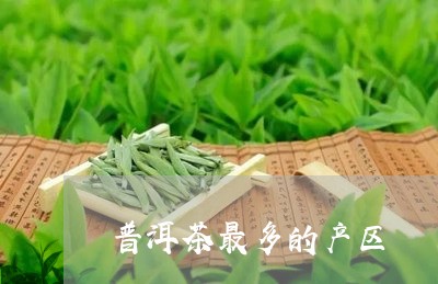 普洱茶最多的产区/2023041149382