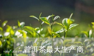 普洱茶最大生产商/2023031630603