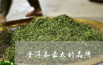 普洱茶最大的品牌/2023041399373