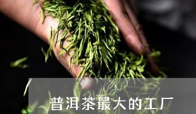 普洱茶最大的工厂/2023041268682