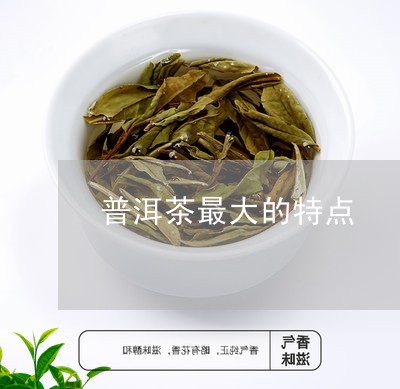 普洱茶最大的特点/2023041039581