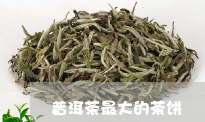 普洱茶最大的茶饼/2023041117482