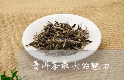 普洱茶最大的魅力/2023041087251