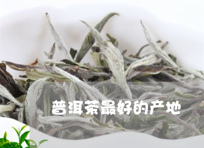 普洱茶最好的产地/2023031825158