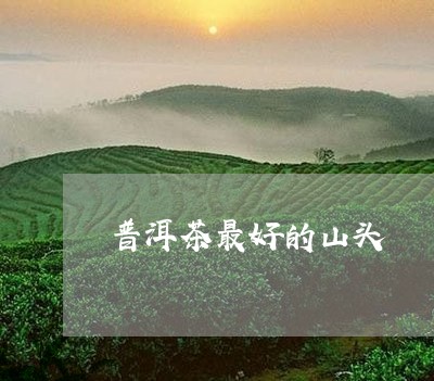 普洱茶最好的山头/2023041418404