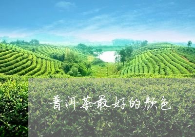 普洱茶最好的颜色/2023041050703