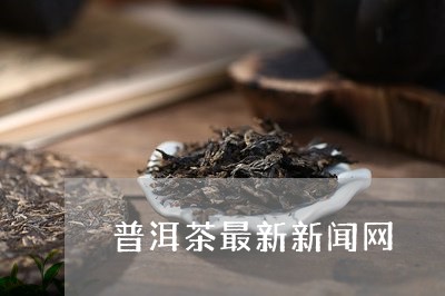 普洱茶最新新闻网/2023041345241