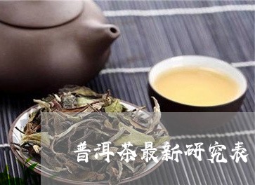 普洱茶最新研究表/2023041080040