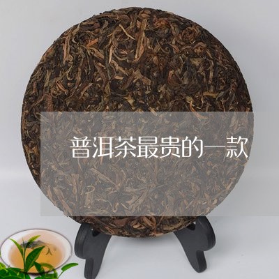 普洱茶最贵的一款/2023033098463