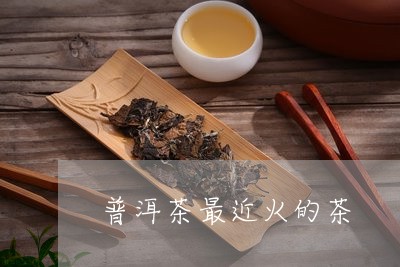 普洱茶最近火的茶/2023031683048