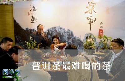 普洱茶最难喝的茶/2023031680625