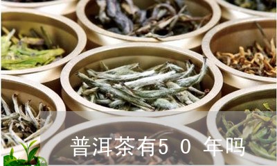 普洱茶有50年吗/2023031638603