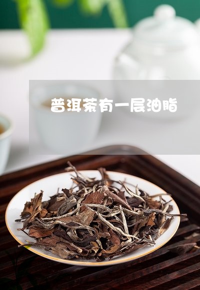 普洱茶有一层油脂/2023040190570