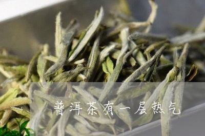 普洱茶有一层热气/2023033135158