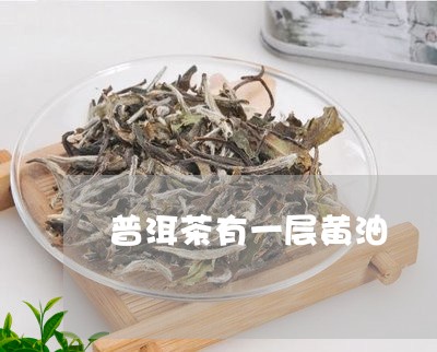 普洱茶有一层黄油/2023033138371