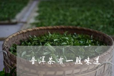 普洱茶有一股味道/2023033140683