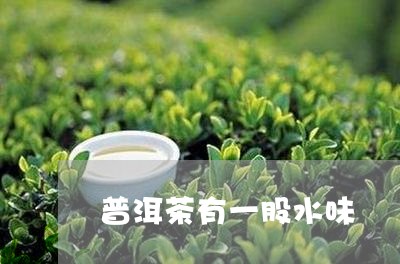 普洱茶有一股水味/2023033018594