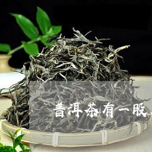 普洱茶有一股草味/2023033076160