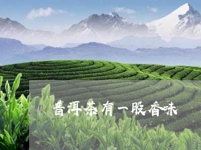 普洱茶有一股香味/2023033066263