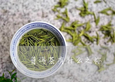 普洱茶有什么之称/2023041195925