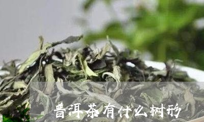 普洱茶有什么树形/2023041051715