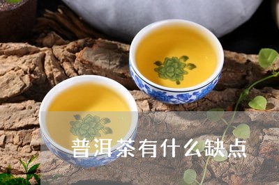 普洱茶有什么缺点/2023041154038