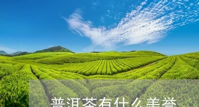 普洱茶有什么美誉/2023031796157