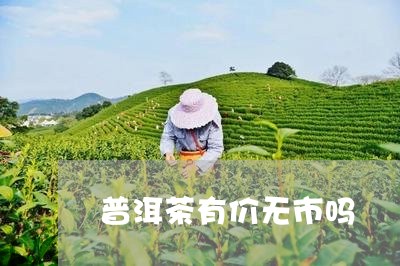 普洱茶有价无市吗/2023041098493