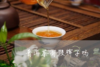 普洱茶有假牌子吗/2023041316169