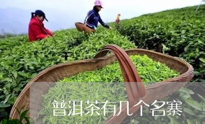 普洱茶有几个名寨/2023033183826