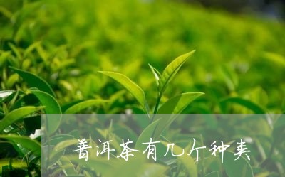 普洱茶有几个种类/2023041043967