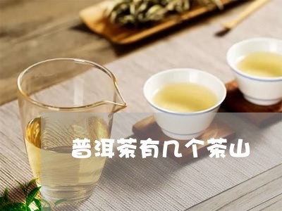 普洱茶有几个茶山/2023041016251