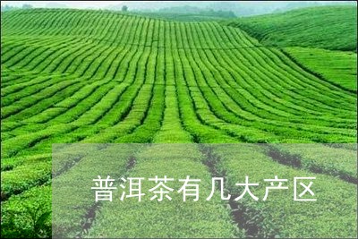 普洱茶有几大产区/2023041424959