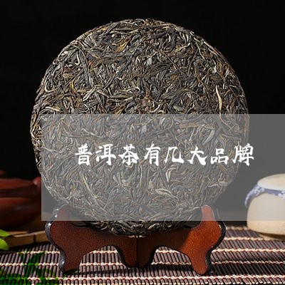 普洱茶有几大品牌/2023041320825