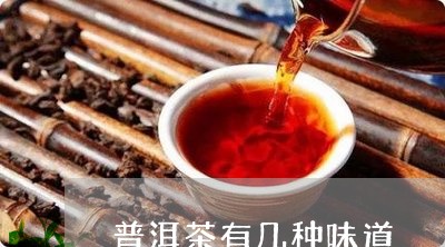 普洱茶有几种味道/2023041340261