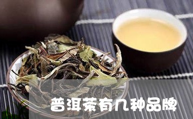 普洱茶有几种品牌/2023041334149