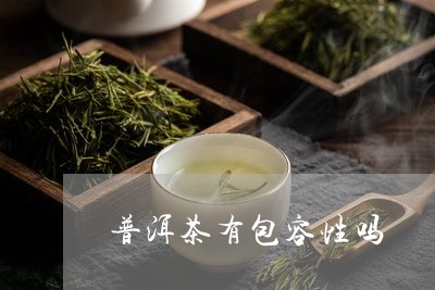 普洱茶有包容性吗/2023033126946