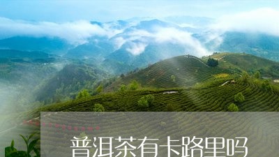 普洱茶有卡路里吗/2023041255140