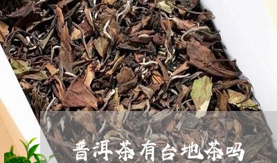 普洱茶有台地茶吗/2023031661616