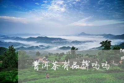 普洱茶有品牌吗吗/2023031761604