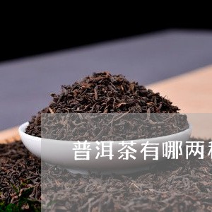 普洱茶有哪两种茶/2023041396040