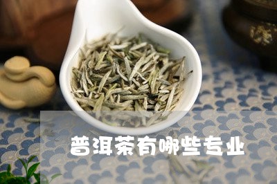 普洱茶有哪些专业/2023040911806