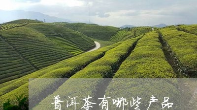 普洱茶有哪些产品/2023041011605