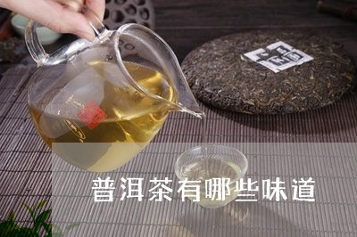 普洱茶有哪些味道/2023031701503