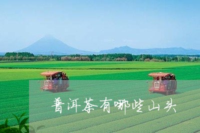 普洱茶有哪些山头/2023031814837