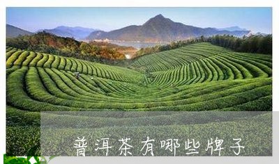 普洱茶有哪些牌子/2023041343928