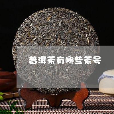 普洱茶有哪些茶号/2023041196260