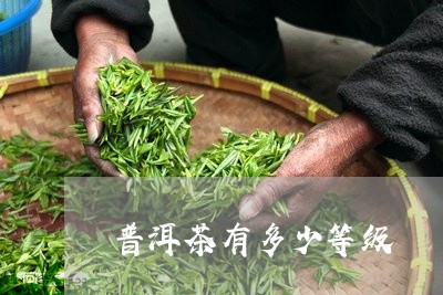 普洱茶有多少等级/2023041086838