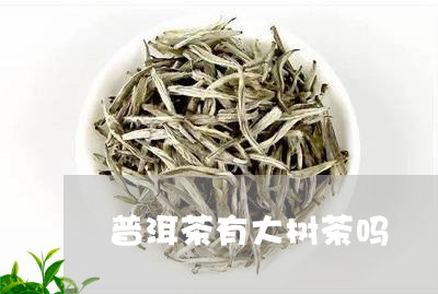 普洱茶有大树茶吗/2023041125078